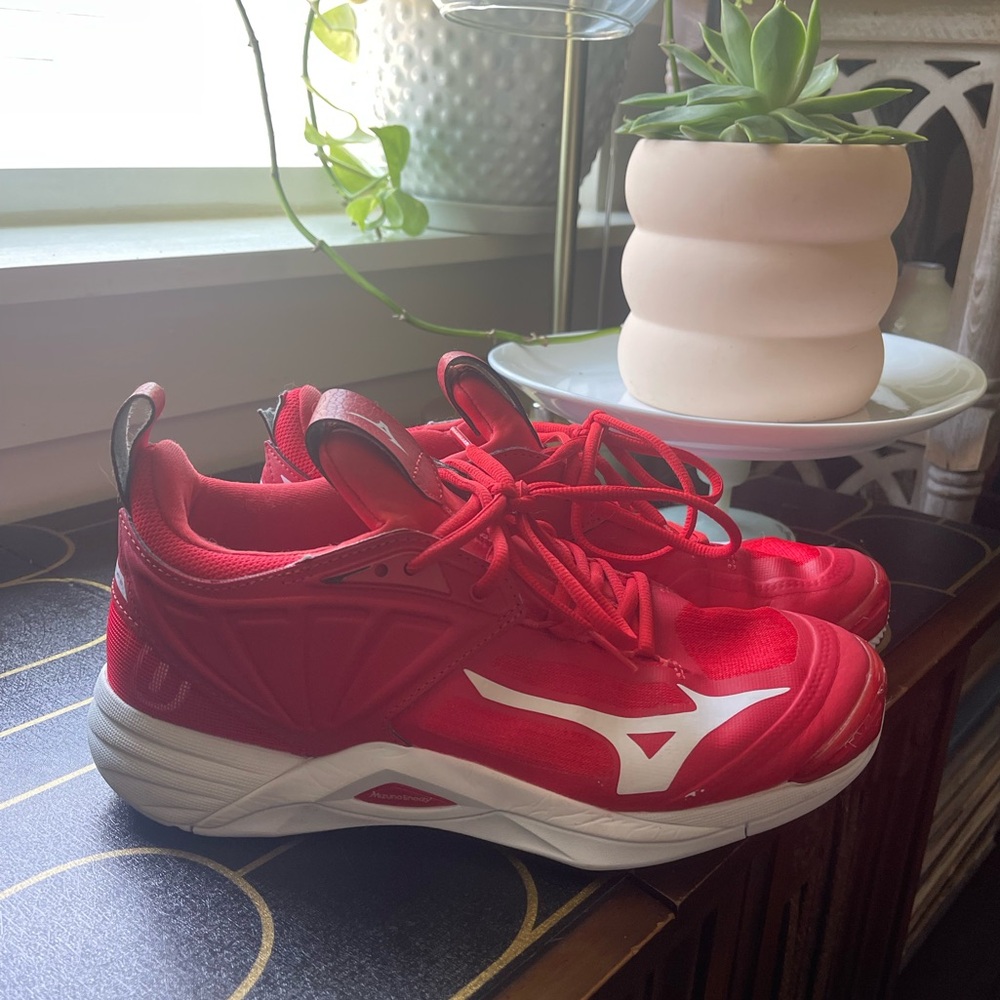 Mizuno Volleyball Shoes